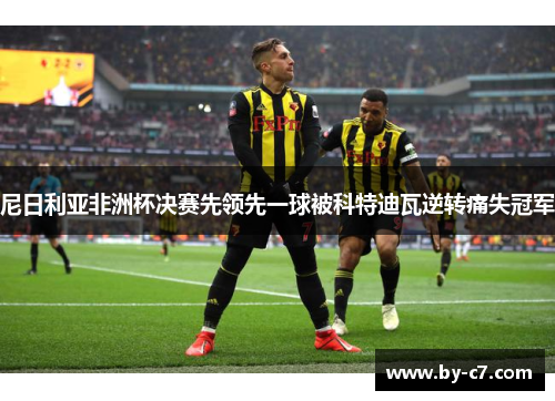 尼日利亚非洲杯决赛先领先一球被科特迪瓦逆转痛失冠军